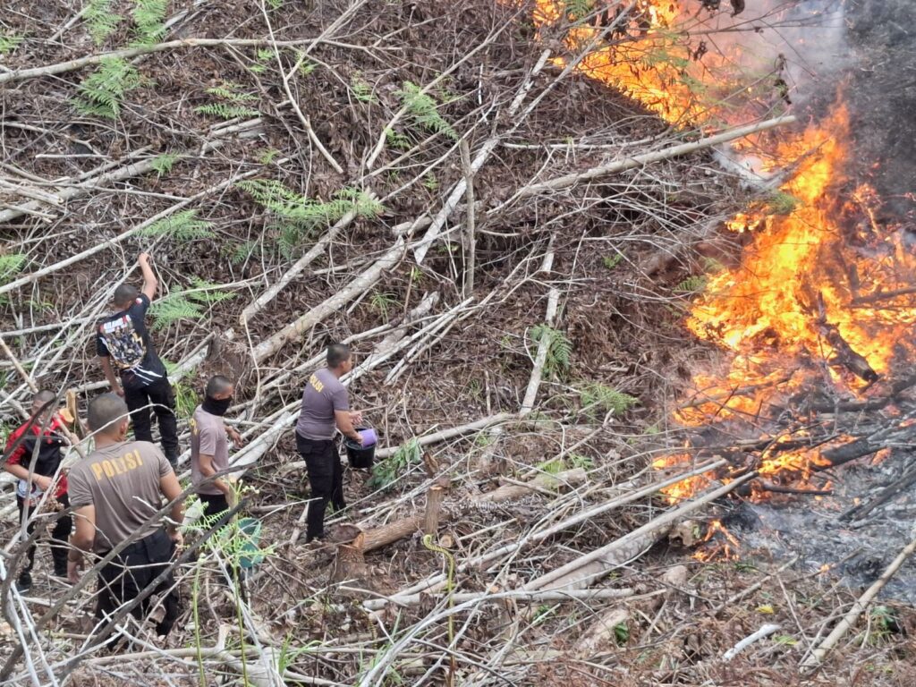 8022a475-28ad-427b-b507-686f779e7575