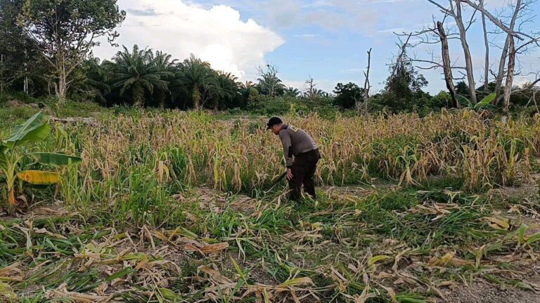 8021d1b5-de95-4c7e-b801-a8a92f56fe3e