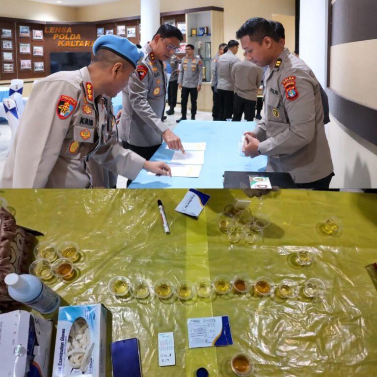 WhatsApp Image 2026-02-27 at 12.28.17